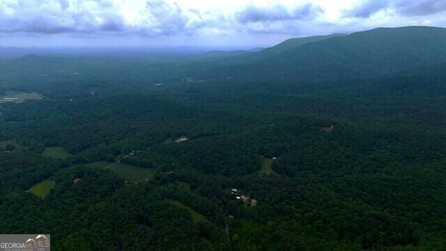 0 Nocona Trl, Ellijay, GA 30536 - mountain view