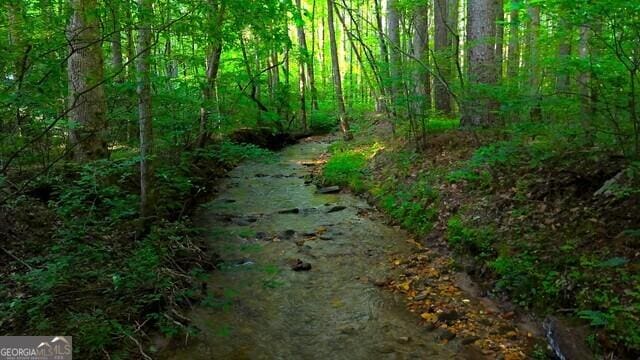 0 Nocona Trl, Ellijay, GA 30536 - view of tree filled area