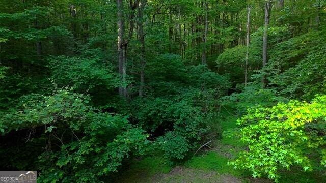 0 Nocona Trl, Ellijay, GA 30536 - view of tree filled area