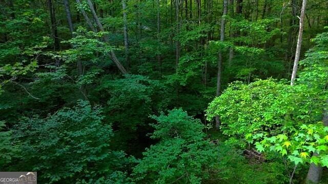 0 Nocona Trl, Ellijay, GA 30536 - view of woods