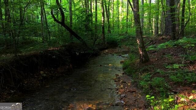 0 Nocona Trl, Ellijay, GA 30536 - view of nature