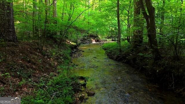 0 Nocona Trl, Ellijay, GA 30536 - view of tree filled area