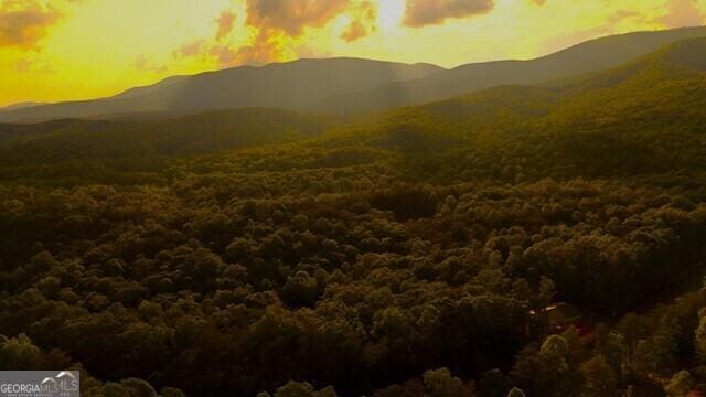 0 Nocona Trl, Ellijay, GA 30536 - view of mountain background with a forest