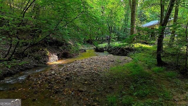 0 Nocona Trl, Ellijay, GA 30536 - view of woods