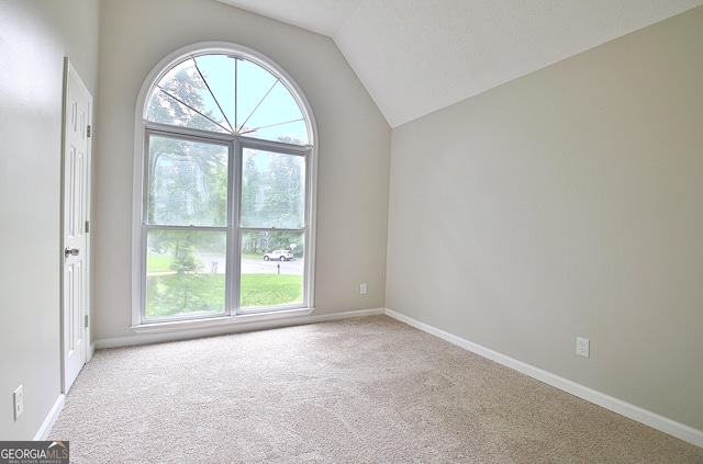 85 Holly Springs Rd, Sharpsburg, GA 30277 - spare room with carpet and vaulted ceiling