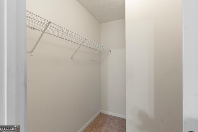 120 Bramble Bush Trl, Covington, GA 30014 - walk in closet featuring carpet