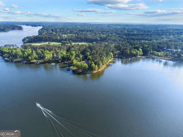 1230 Lake Club Dr, Greensboro, GA 30642 - aerial view of a heavily wooded area and a nearby body of water
