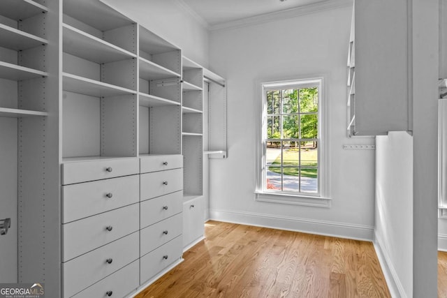 1230 Lake Club Dr, Greensboro, GA 30642 - walk in closet with light wood finished floors
