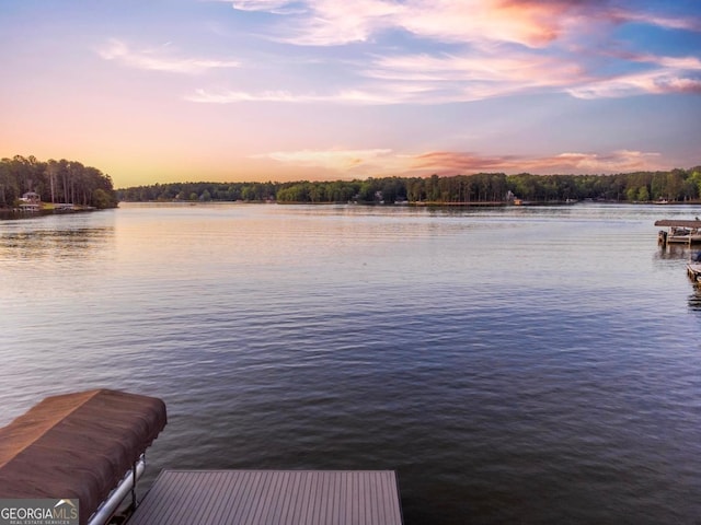 1230 Lake Club Dr, Greensboro, GA 30642 - dock with a water view