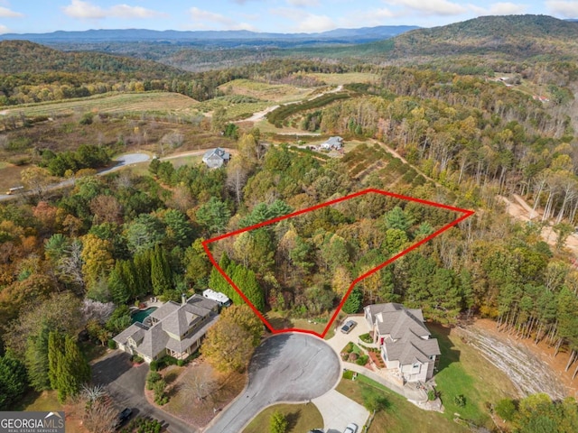 LOT13 Ridgemont Dr, Ellijay, GA 30536