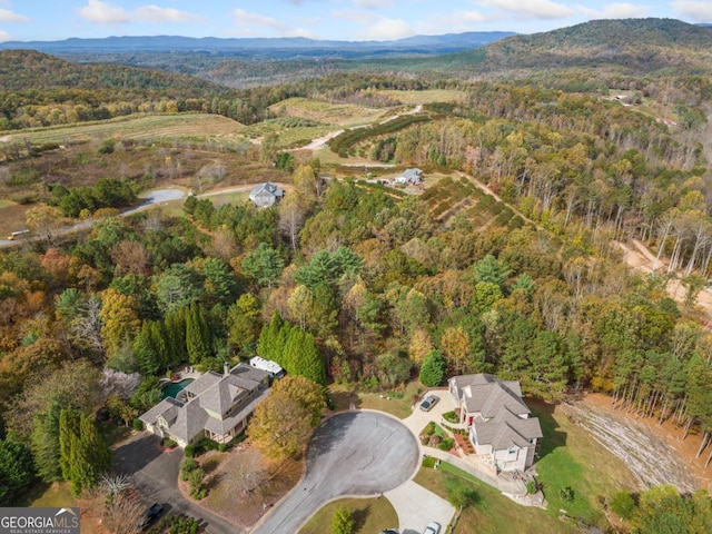 LOT13 Ridgemont Dr, Ellijay, GA 30536
