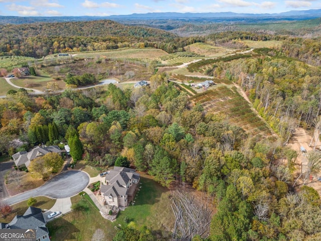LOT13 Ridgemont Dr, Ellijay, GA 30536
