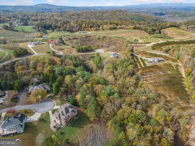 LOT13 Ridgemont Dr, Ellijay, GA 30536