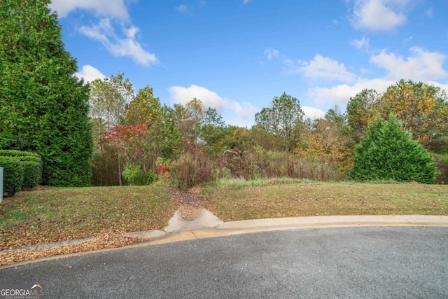 LOT13 Ridgemont Dr, Ellijay, GA 30536