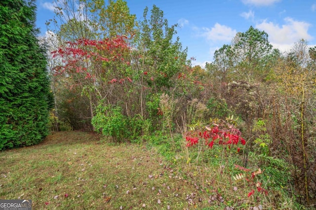 LOT13 Ridgemont Dr, Ellijay, GA 30536