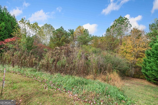 LOT13 Ridgemont Dr, Ellijay, GA 30536
