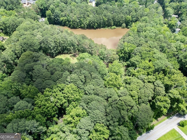 6111 Old Monticello St SE, Covington, GA 30014 - view of property location with a heavily wooded area and a nearby body of water