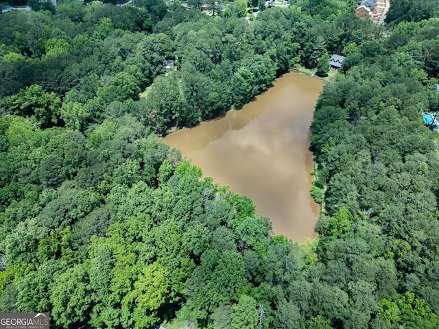 6111 Old Monticello St SE, Covington, GA 30014 - aerial view of property's location with a large body of water and a forest
