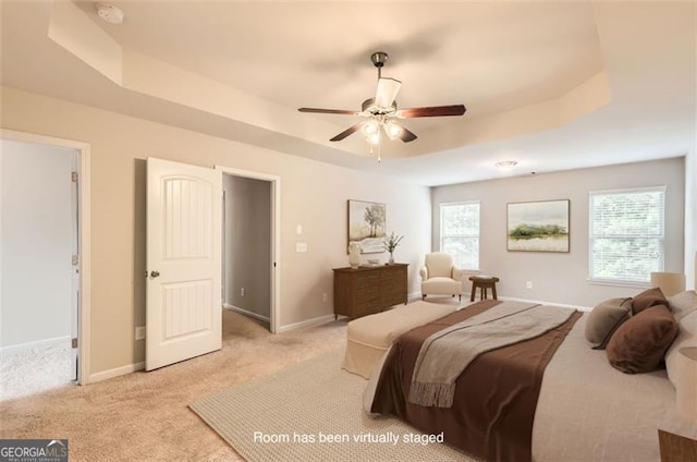 219 Sleepy Way, Canton, GA 30114 - bedroom with a raised ceiling, multiple windows, and light colored carpet