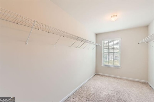 219 Sleepy Way, Canton, GA 30114 - walk in closet with light carpet
