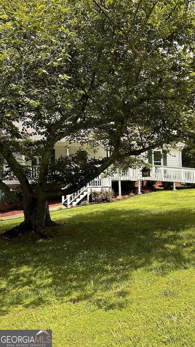 5904 Clairmont Way, Powder Springs, GA 30127 - view of green lawn