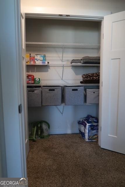 11096 Cornerstone Way, Hampton, GA 30228 - view of closet
