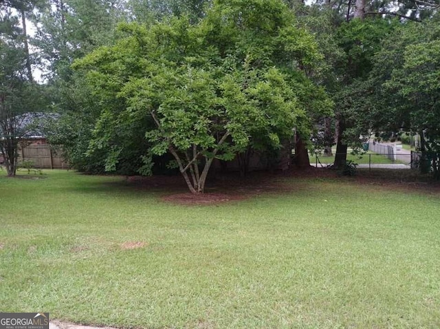 1806 Dawson Rd, Albany, GA 31707 - view of yard