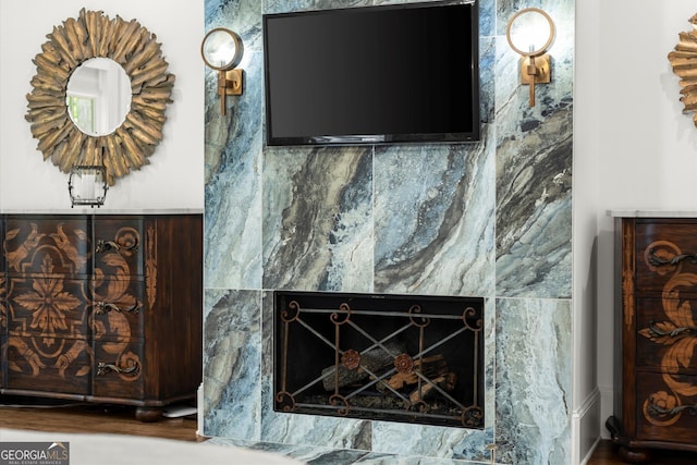4874 Kettle River Pt, Suwanee, GA 30024 - detailed view of a premium fireplace