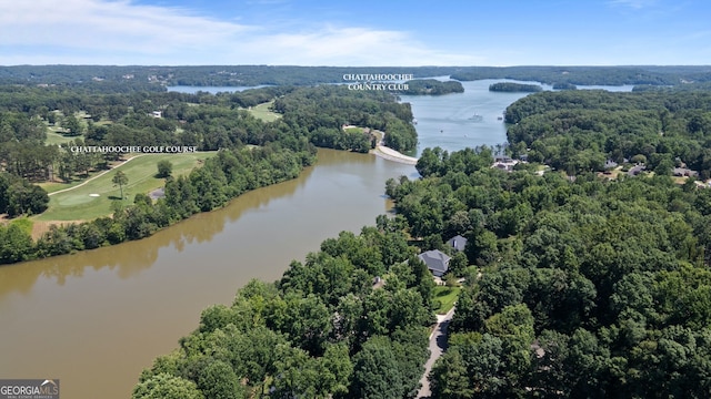 3095 Chattahoochee Trce, Gainesville, GA 30506 - bird's eye view of a large body of water and a forest