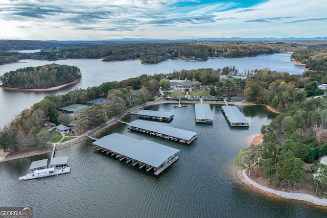 3095 Chattahoochee Trce, Gainesville, GA 30506 - aerial view of a nearby body of water and a heavily wooded area