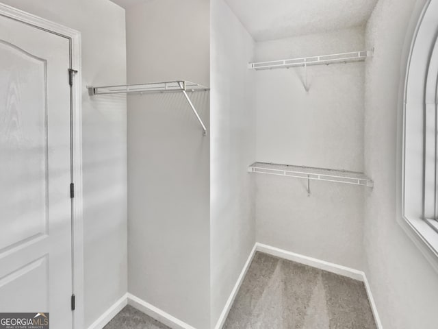 2438 Suwanee Pointe Dr, Lawrenceville, GA 30043 - spacious closet featuring carpet
