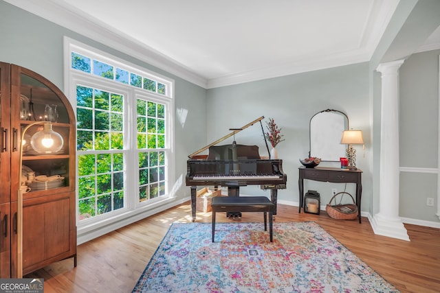 100 Castlebrook Chase, Tyrone, GA 30290 - sitting room featuring ornate columns, ornamental molding, and wood finished floors