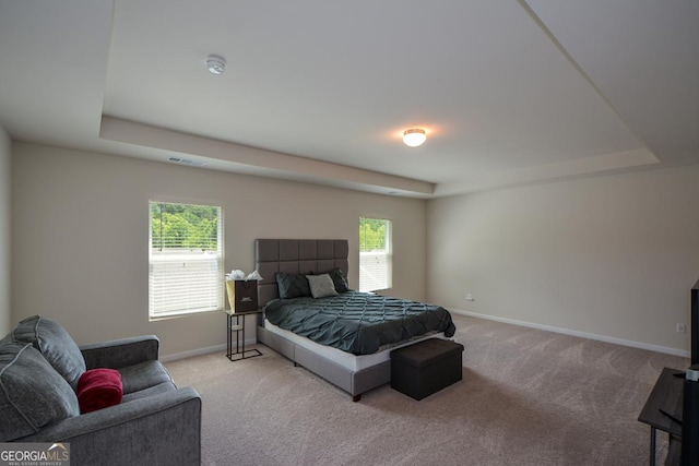 428 Whitetail Cir, Canton, GA 30115 - carpeted bedroom featuring a raised ceiling and baseboards