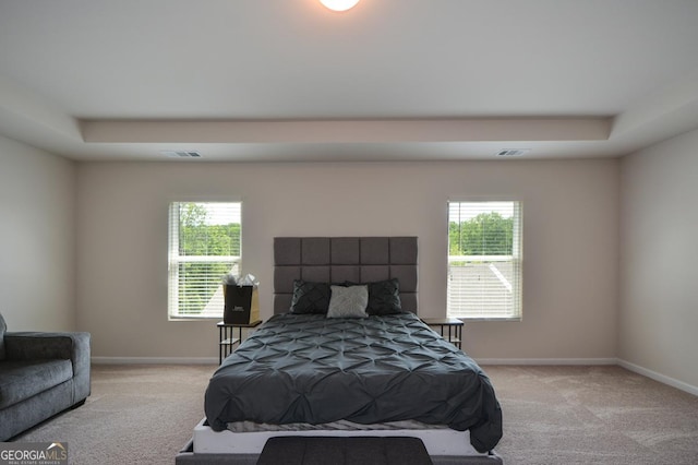 428 Whitetail Cir, Canton, GA 30115 - carpeted bedroom featuring multiple windows and a tray ceiling