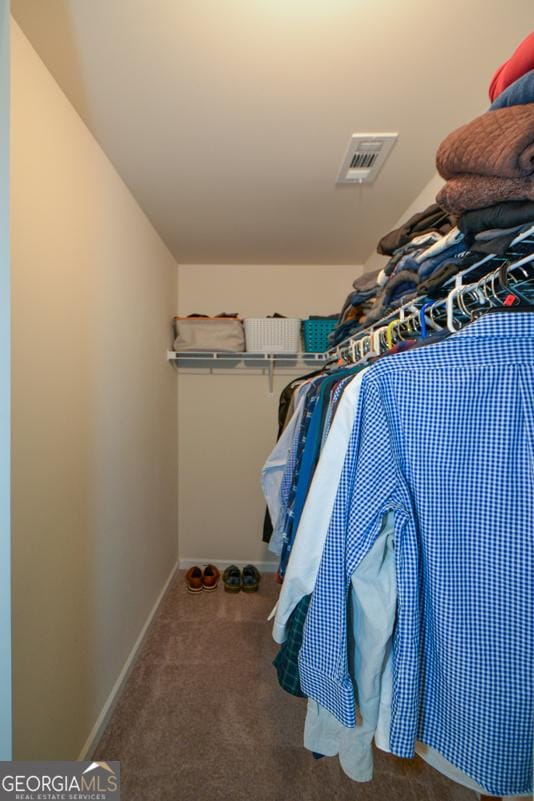 428 Whitetail Cir, Canton, GA 30115 - spacious closet with carpet