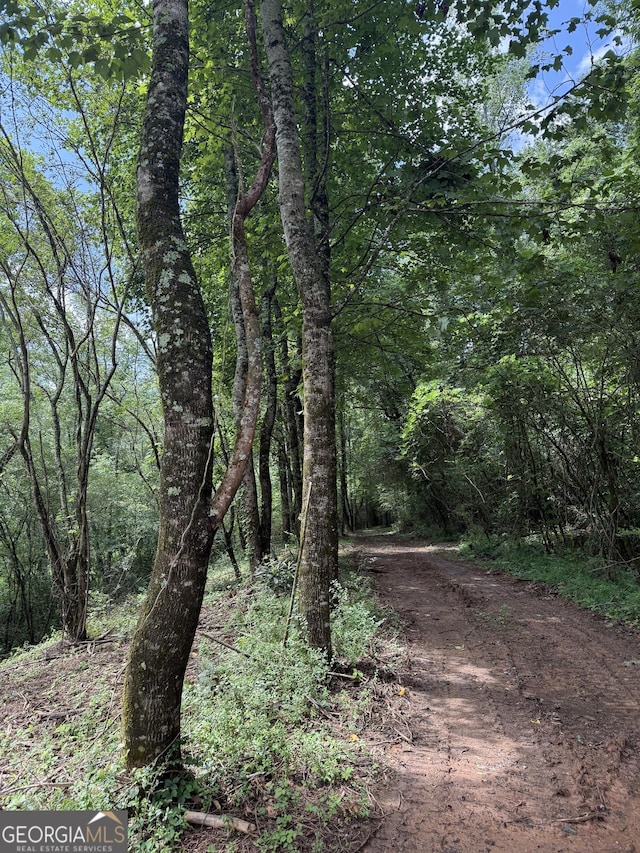 683 Jess Hunt Rd, Cleveland, GA 30528