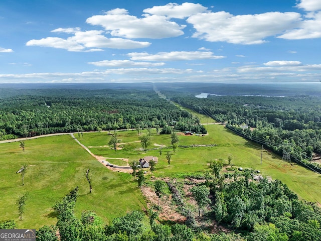 357 Old Driver Rd, Whitesburg, GA 30185 - aerial view of sparsely populated area featuring a forest
