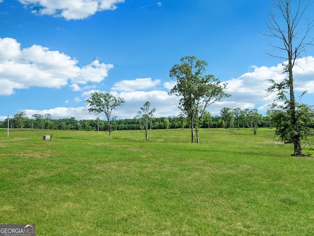 357 Old Driver Rd, Whitesburg, GA 30185 - view of green lawn featuring a view of rural / pastoral area
