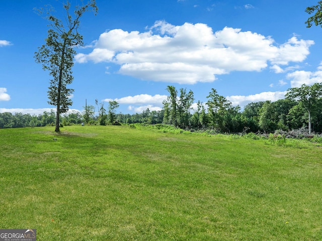 357 Old Driver Rd, Whitesburg, GA 30185 - view of green lawn