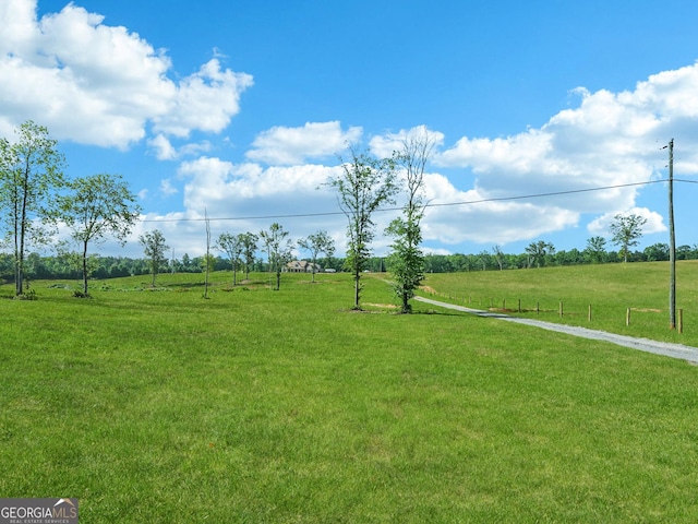 357 Old Driver Rd, Whitesburg, GA 30185 - view of green lawn with a view of countryside