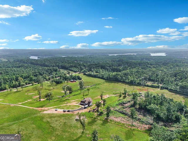 357 Old Driver Rd, Whitesburg, GA 30185 - overview of rural landscape with a heavily wooded area