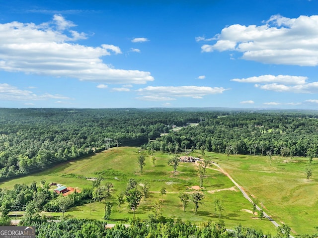 357 Old Driver Rd, Whitesburg, GA 30185 - overview of rural landscape with a forest