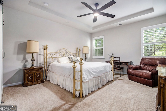 111 Point View Dr, Canton, GA 30114 - bedroom featuring a raised ceiling, carpet, multiple windows, and ceiling fan