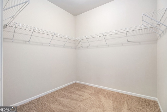 111 Point View Dr, Canton, GA 30114 - spacious closet with carpet