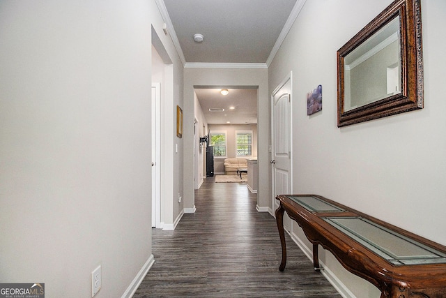 111 Point View Dr, Canton, GA 30114 - corridor with crown molding and dark wood-style flooring