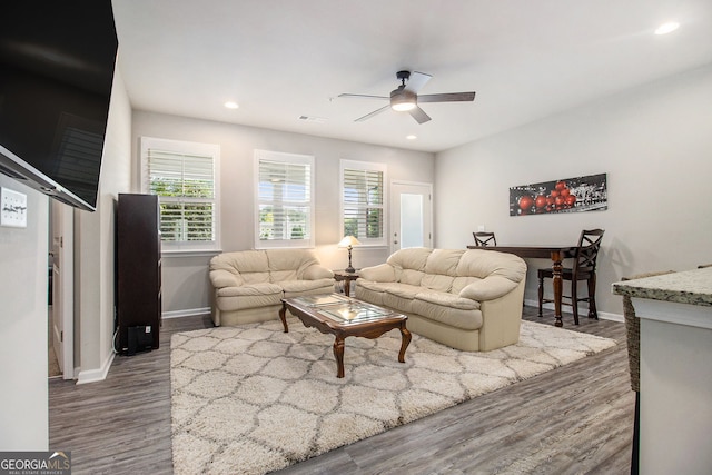 111 Point View Dr, Canton, GA 30114 - living area with a ceiling fan, healthy amount of natural light, dark wood finished floors, and recessed lighting