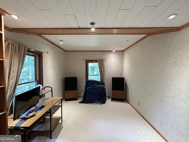 235 Pirkle Ct, Cumming, GA 30040 - living area with a textured wall, crown molding, plenty of natural light, and carpet flooring
