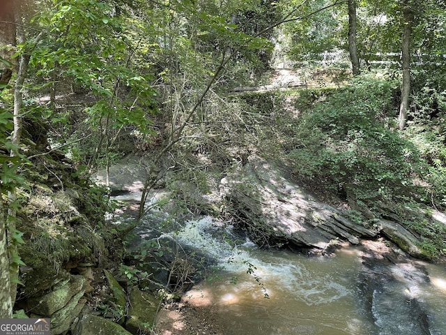 235 Pirkle Ct, Cumming, GA 30040 - view of local wilderness
