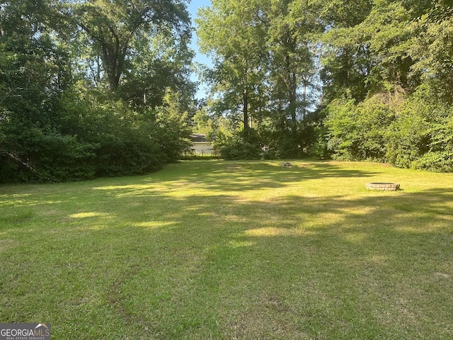 1408 Main St, Perry, GA 31069 - view of grassy yard