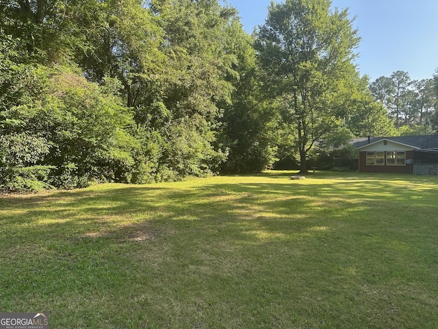 1408 Main St, Perry, GA 31069 - view of grassy yard